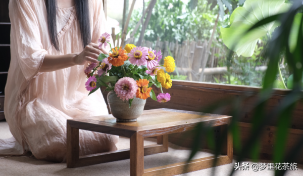 采薇姑娘 在武夷山販賣美好茶生活 &vert; 礫壤人物