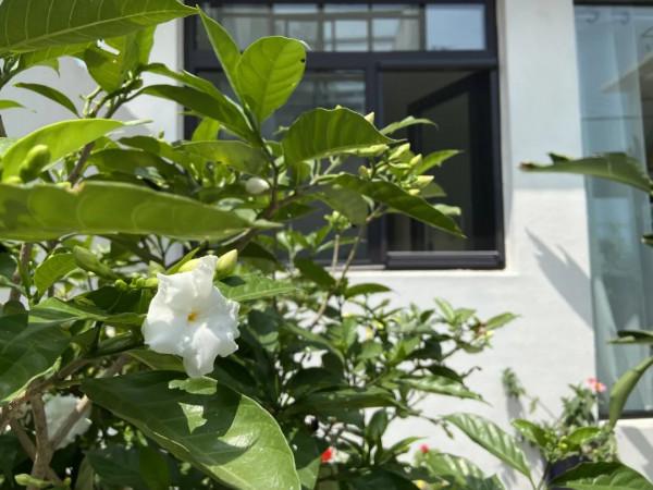 福漫小築,把波西米亞風的自由和浪漫裝進金海湖畔 福漫小築,把波西米亞風的自由和浪漫裝進金海湖畔