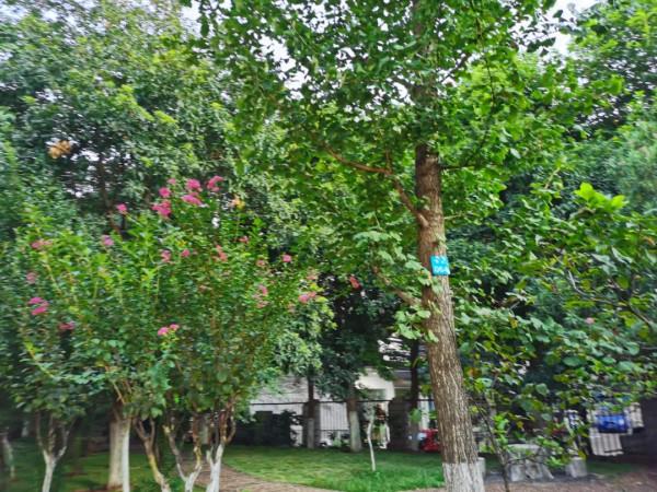 當孩子覺得父母不愛自己,其實是父母根本不知道怎麼愛自己 當孩子覺得父母不愛自己,其實是父母根本不知道怎麼愛自己