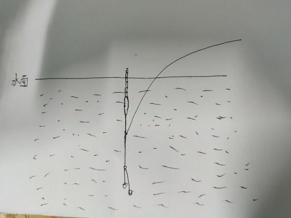 釣魚新手如何快速調漂