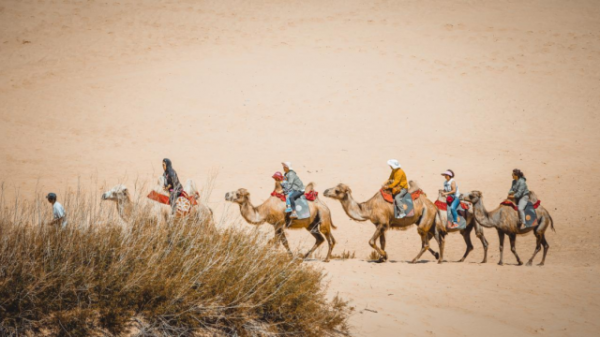落日斜波暮水明 盤點塞上壯美湖泊秋色
