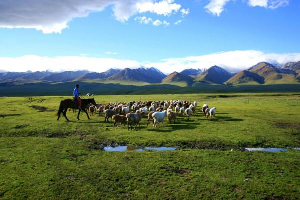新疆十大冷門景點，人少景美好玩