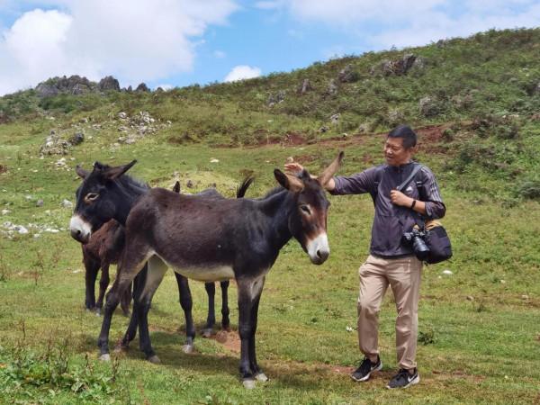 號稱雲南的小紐西蘭,小眾露營地——麼波衝 號稱雲南的小紐西蘭,小眾露營地——麼波衝
