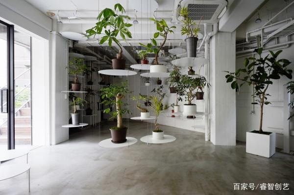 百年老店重灌，「懸浮盆栽」出彩