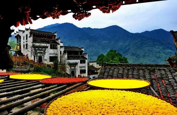 11月，國內這9個絕美山水之地，美成了一幅畫！隨手一拍都是桌布