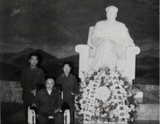 76年毛主席病重，賀子珍從電視上得知後給女兒打電話：去看看爸爸