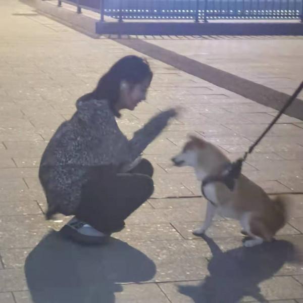 收集網友們覺得意難平的句子
