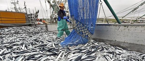 瘋狂“搶”漁20年後，日本漁業陷入死局，扶不起就破罐子破摔？