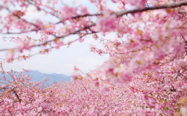 其實吧，四川真的不止有成都