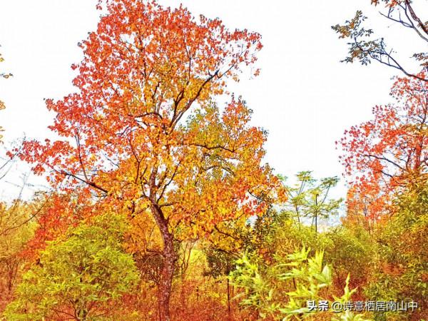 濾鏡美景正在成為騙你沒商量的公害,對比看看我的兩種照片 濾鏡美景正在成為騙你沒商量的公害,對比看看我的兩種照片