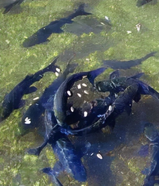 中國的“十大”，快來看看...