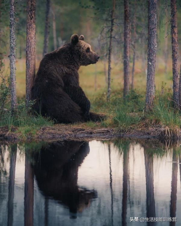 35張圖片帶我們領略大自然的狂野和美麗 35張圖片帶我們領略大自然的狂野和美麗