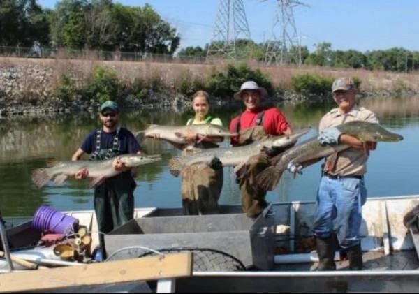 在美國釣個魚被罰16萬？