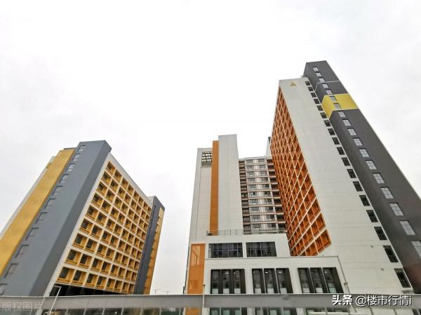 新規：4類房產禁止出租，租客業主需注意，不但影響健康還會罰款