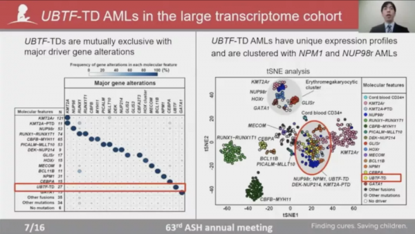 基因突變與克隆性造血有哪些聯絡，又如何指導AML危險分層？