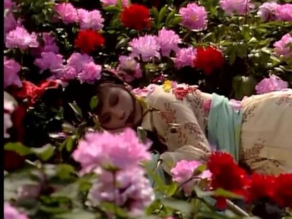 《紅樓夢》裡寫史湘雲露胳膊，是想告訴大傢什麼？