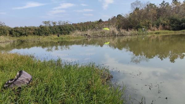 向左還是向右該何去何從，男人的野性在呼喚