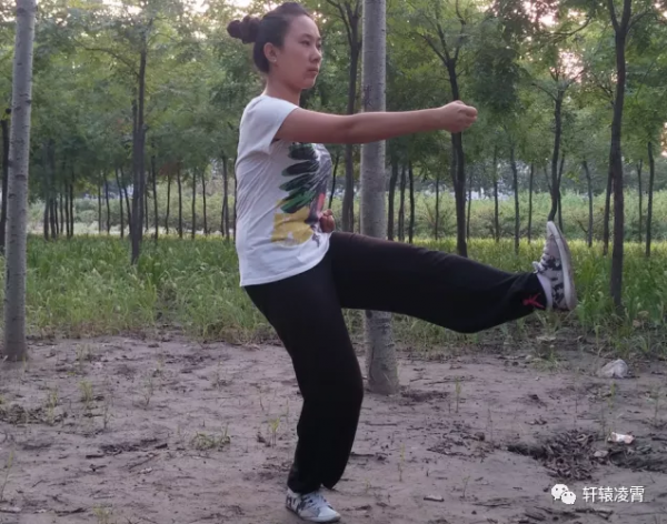 軒轅談形意五行拳例項 軒轅談形意五行拳例項