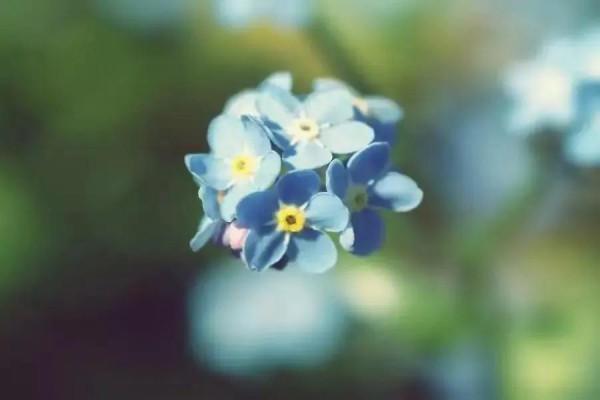 “一個快40歲的大男人,騎腳踏車上下班,真可憐”心窮的人才可憐 “一個快40歲的大男人,騎腳踏車上下班,真可憐”心窮的人才可憐