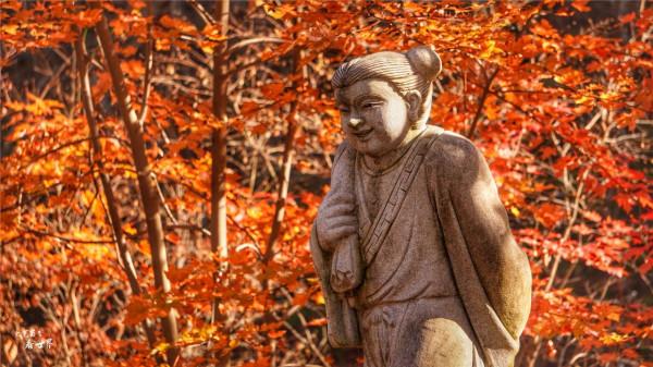 又快到了去本溪賞楓的季節，楓林谷是我退休以後每年都要去的地方