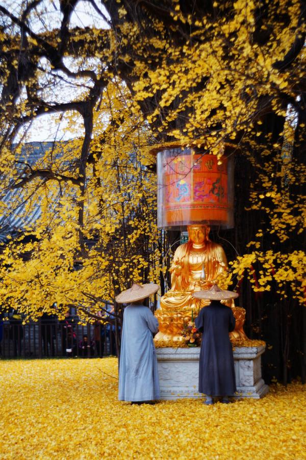 穿越千年,當秋日美景遇上古詩詞,許你一個詩意的山河 穿越千年,當秋日美景遇上古詩詞,許你一個詩意的山河