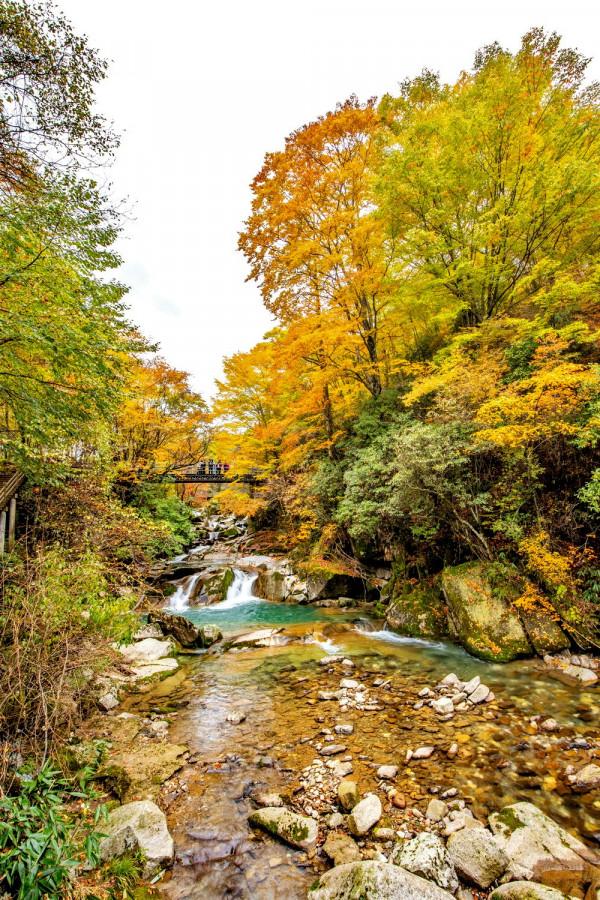 黑熊溝——四川光霧山