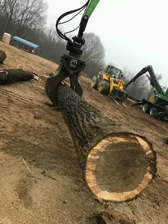 關於北美黑胡桃、北美櫻桃木、北美橡木、黃花梨等特點