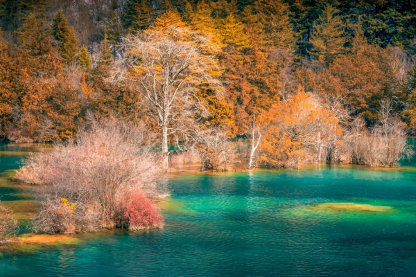 2021年國內旅行時間表出爐！承包你一整年的旅行