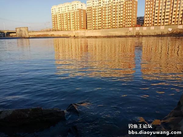 釣魚王餌兩腥配，帶來一次小豐收