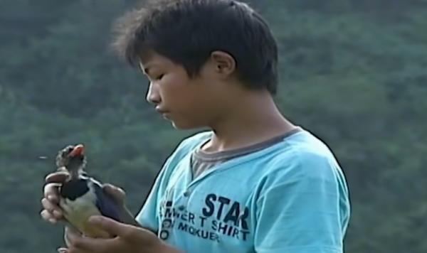 湖南一少年通曉鳥語，能引導鳥兒做事，傳聞中的“鳥神”被找到？