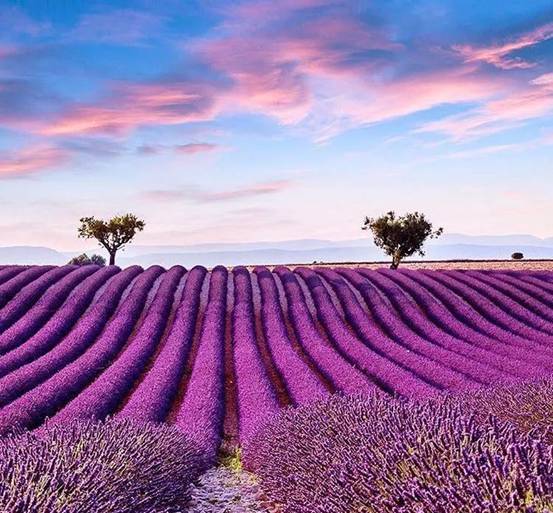 一生必去的十個地方(世界篇) 一生必去的十個地方(世界篇)