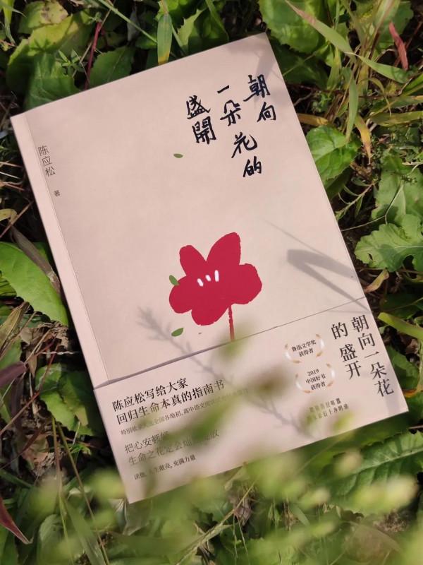 鄉愁似水，生活如火‖《朝向一朵花的盛開》，給你精神安個“家”