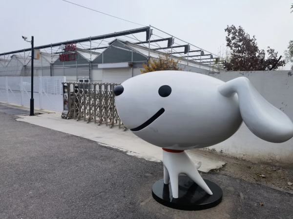 長在床上的蔬菜長啥樣?通州藏著個神奇植物工場,京東全資打造 長在床上的蔬菜長啥樣?通州藏著個神奇植物工場,京東全資打造