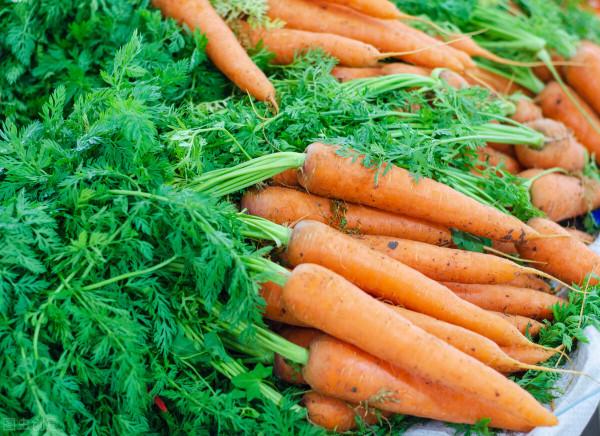 農村這8種蔬菜,也許你沒當回事,多吃老人小孩能補鈣,記得收藏 農村這8種蔬菜,也許你沒當回事,多吃老人小孩能補鈣,記得收藏