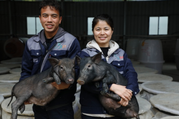 特別策劃：“90後”大學生土法養年豬的奧秘