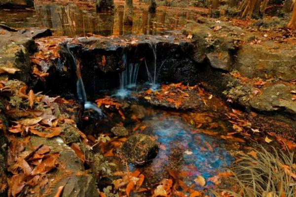 金秋十月，沉醉在江南絕美的秋色中，經典還免費