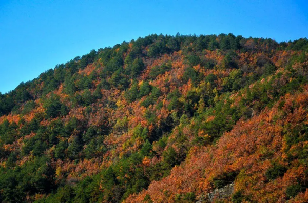 最適合自駕的季節,12條自駕路線,人少景美,總有一條適合你 最適合自駕的季節,12條自駕路線,人少景美,總有一條適合你