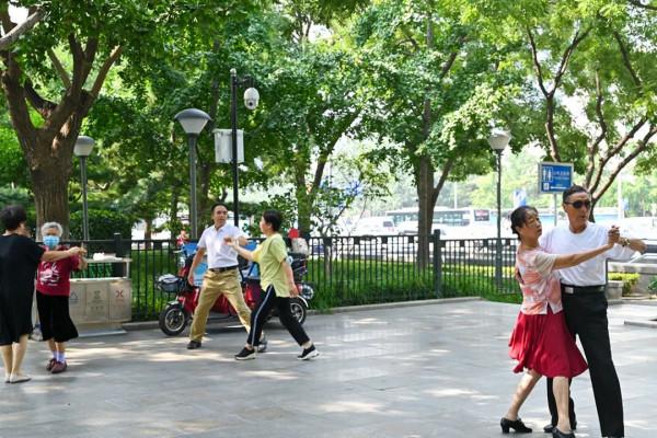 阜城門橋東還有這麼好的小公園，不錯不錯