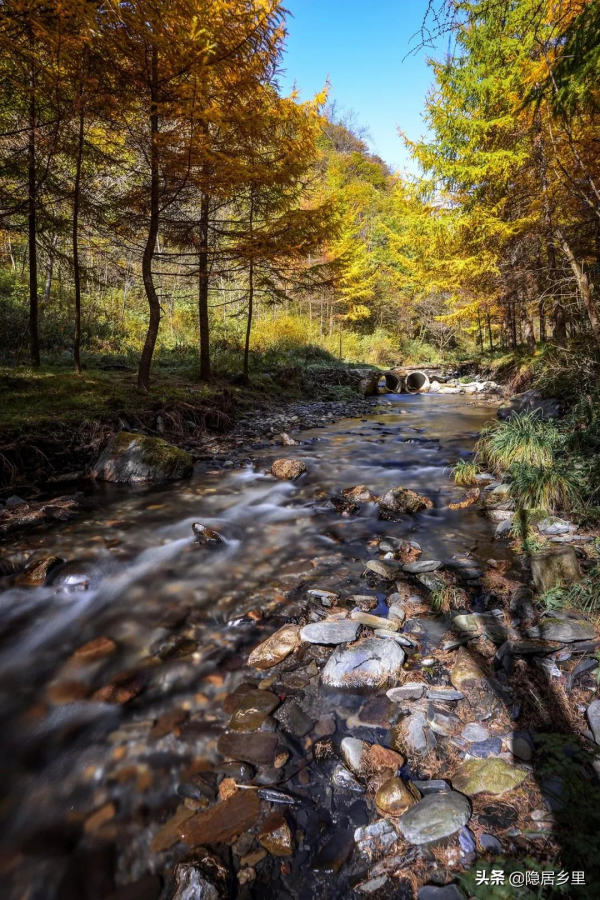秦嶺紅葉房開售 | 一座座山間小屋，藏著秦嶺最美的秋