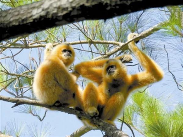 遇間旅遊 | 更新旅遊打卡地！領略大中國國家公園~我在三亞等你