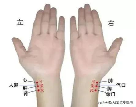 中醫知識每日一讀:敖氏傷寒金鏡錄 黑尖舌 裡圈舌 中醫知識每日一讀:敖氏傷寒金鏡錄 黑尖舌 裡圈舌