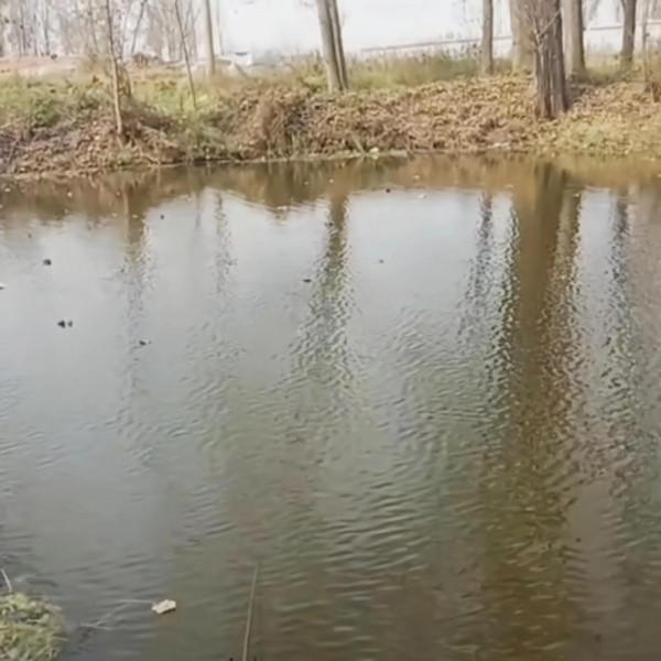 從“爆護”到“光頭”,連釣三天西南風,為何差別那麼大? 從“爆護”到“光頭”,連釣三天西南風,為何差別那麼大?