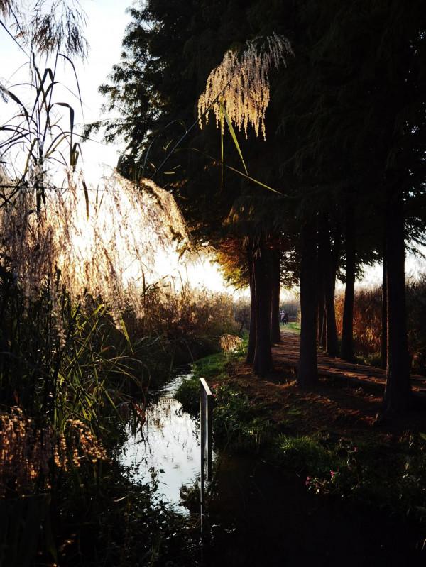 滇池觀落日 滇池觀落日