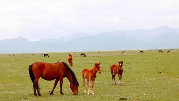 甘肅冷知識：推薦甘肅這22個世界之最和中國之最，你還知道哪些？
