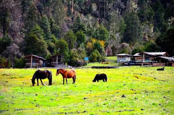 國內禁止外國人進入的7個景點,個個都美如畫,看完立刻想出發 國內禁止外國人進入的7個景點,個個都美如畫,看完立刻想出發