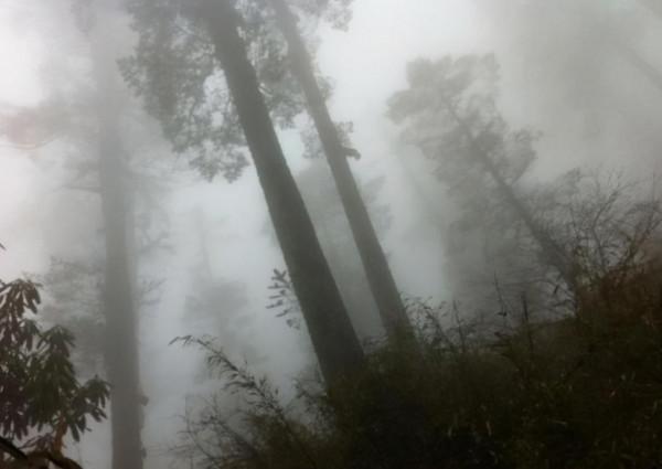 盤點危險程度高的七個地方，堪稱旅遊禁區，去過的就算老司機