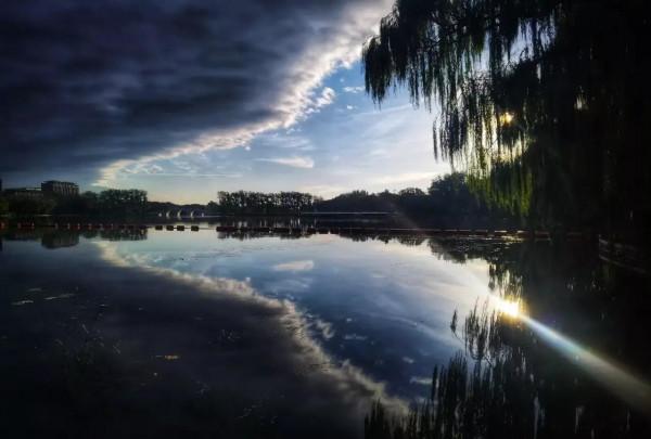 酗酒去世的新峰（381）