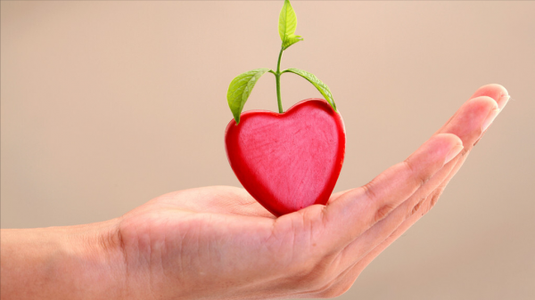 心慌心悸失眠，這是心虛氣血不足有痰飲的表現，試試中醫的安魂湯