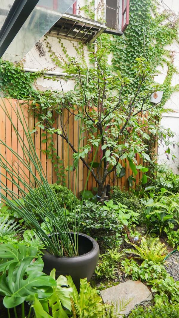 住在上海鬧市400平的房子裡，花開不敗，開窗見池塘，太羨慕了