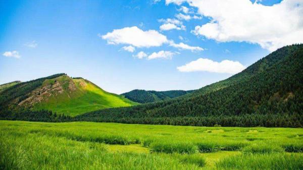 大周武則天時期涼州神鳥縣界的吐谷渾涼州大可汗陵慕容智墓誌釋讀 大周武則天時期涼州神鳥縣界的吐谷渾涼州大可汗陵慕容智墓誌釋讀